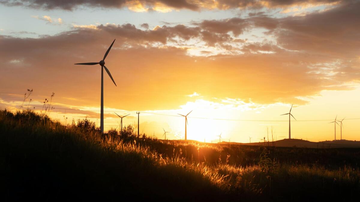 Le energie rinnovabili su cui puntare nei prossimi anni - 