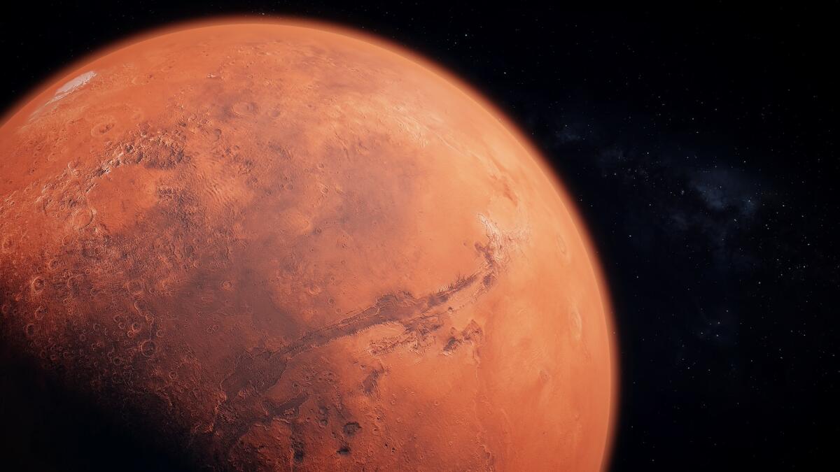 Piante su Marte, un nuovo studio ha fatto luce a riguardo - 