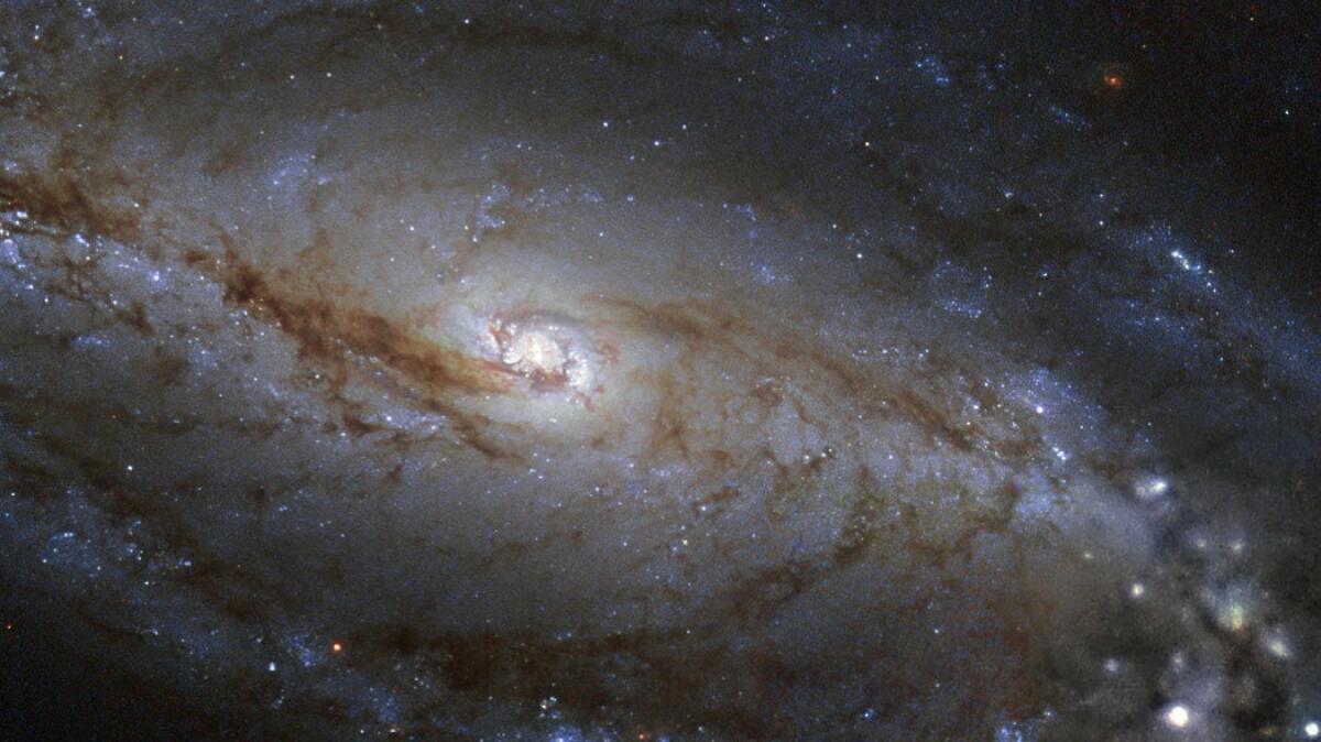 Alla ricerca dell'energia oscura nel cuore del Gran Sasso - Ribbons of dust festoon the galaxy NGC 613 in this new image from the NASA/ESA Hubble Space Telescope. NGC 613 is classified as a barred spiral galaxy for the bar-shaped band of stars and dust crossing its intensely glowing centre. About two thirds o