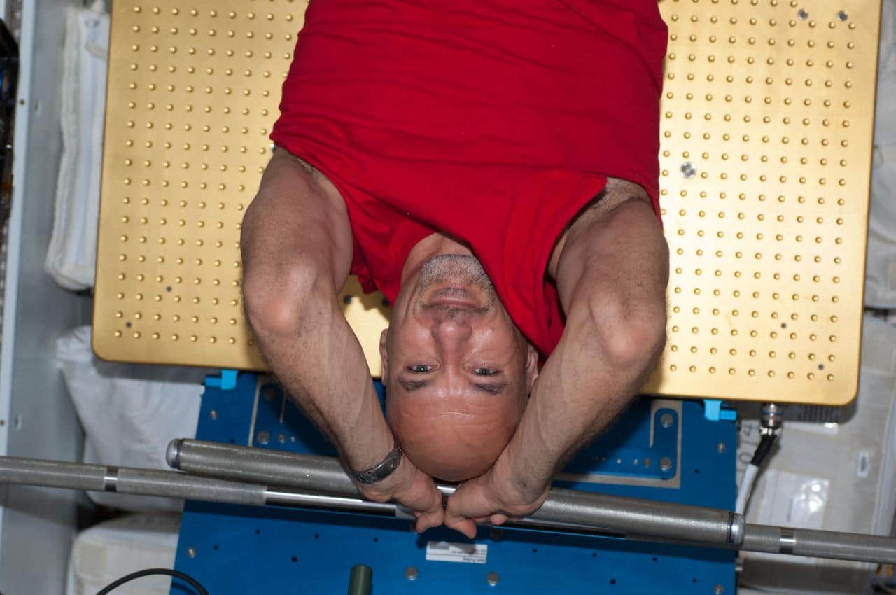 Luca Parmitano mentre usa l'ARED. Credit: NASA
