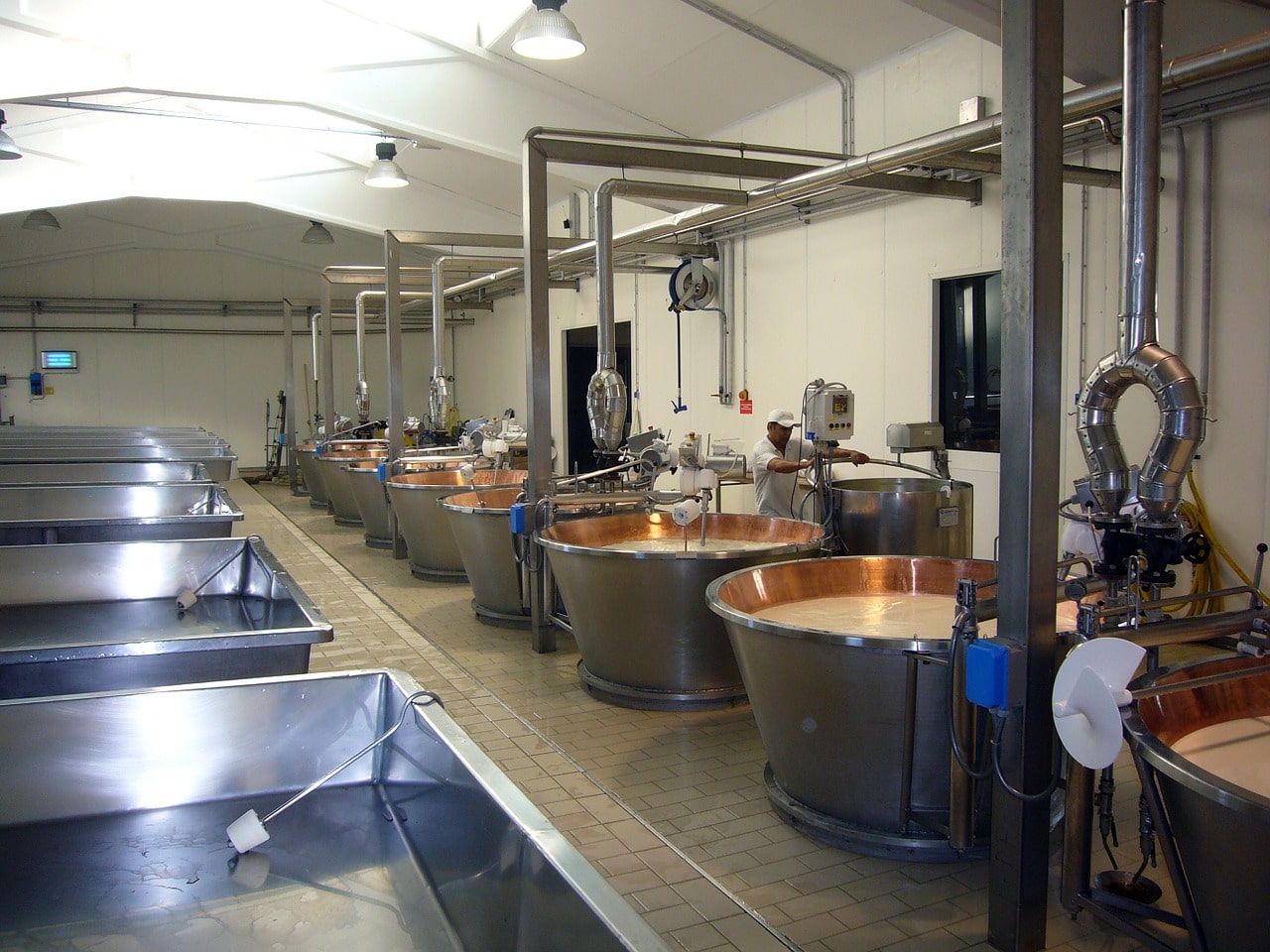 biocosì, bioplastiche, residui, rifiuti, scarti, industria, economia circolare, recupero, risorse, ambiente, inquinamento, mare, plastica, enea, innovazione, tecnologia, processo, Energy Close-up Engineering
