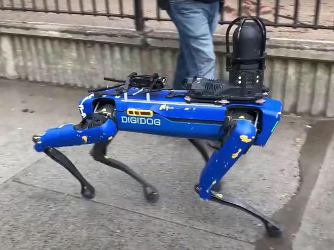 Digidog, la versione-poliziotto del robot Spot, mentre si aggira per le strade di New York