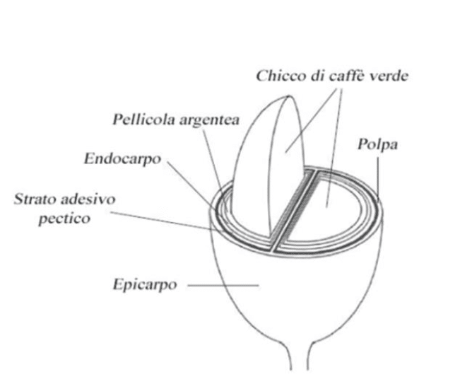 sciencedirect.com