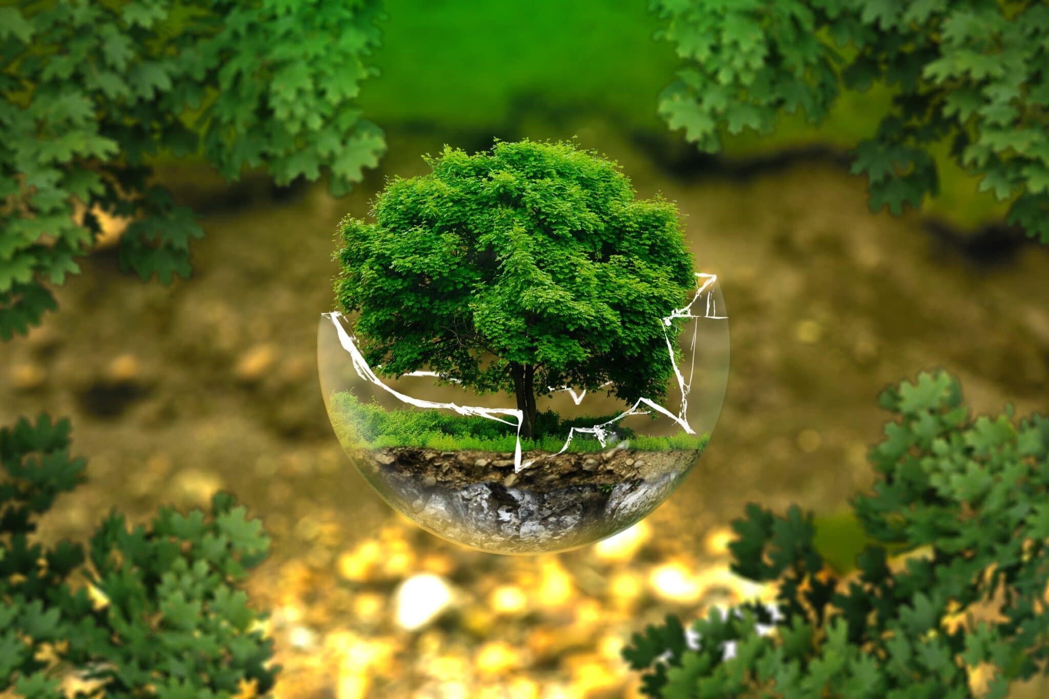 Eco-ansia