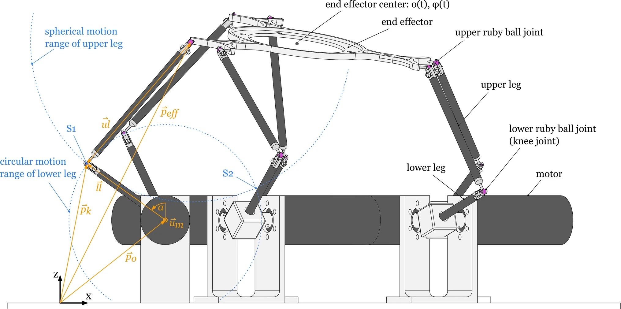 cuore robot struttura