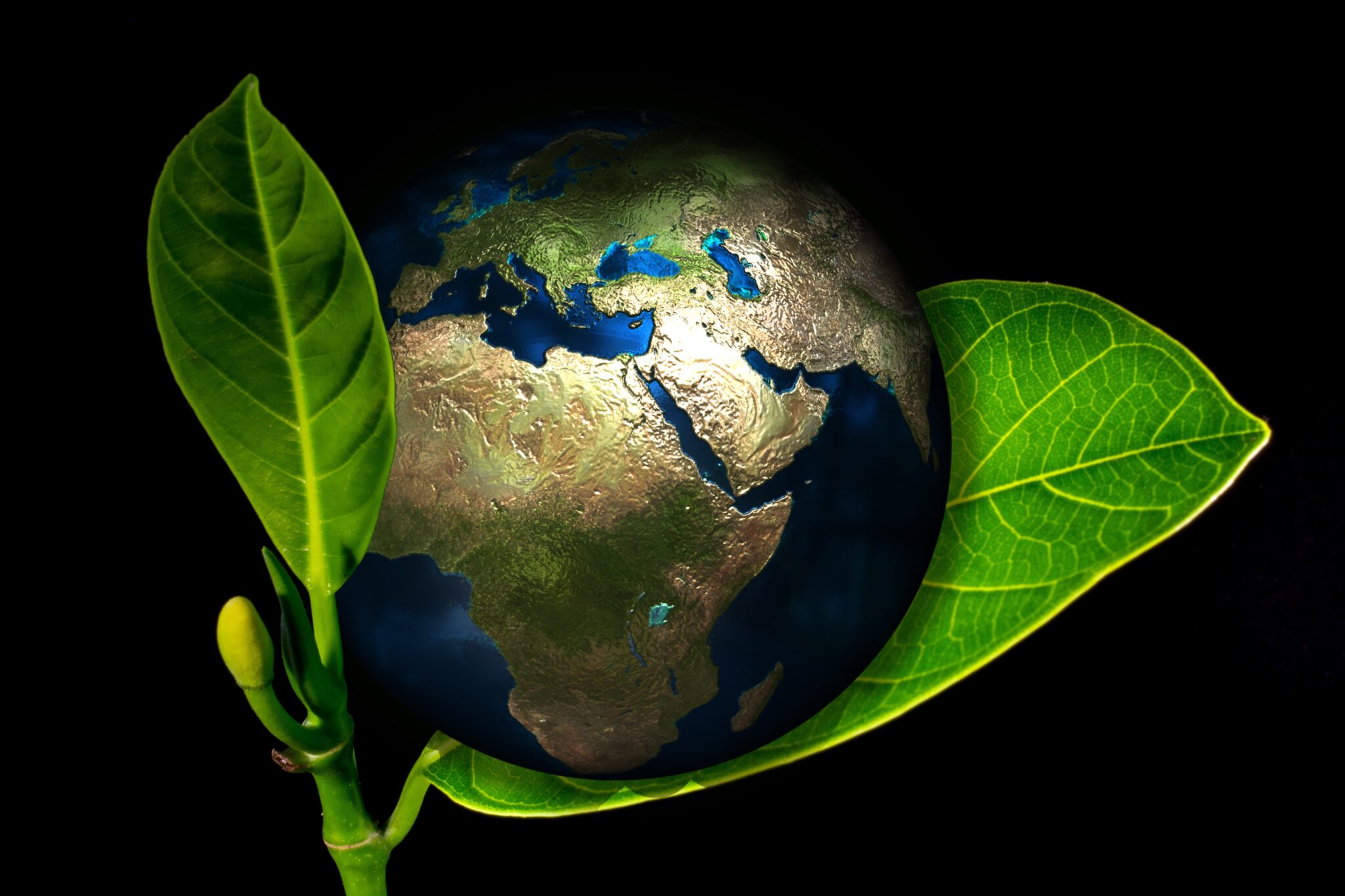 Eco-ansia