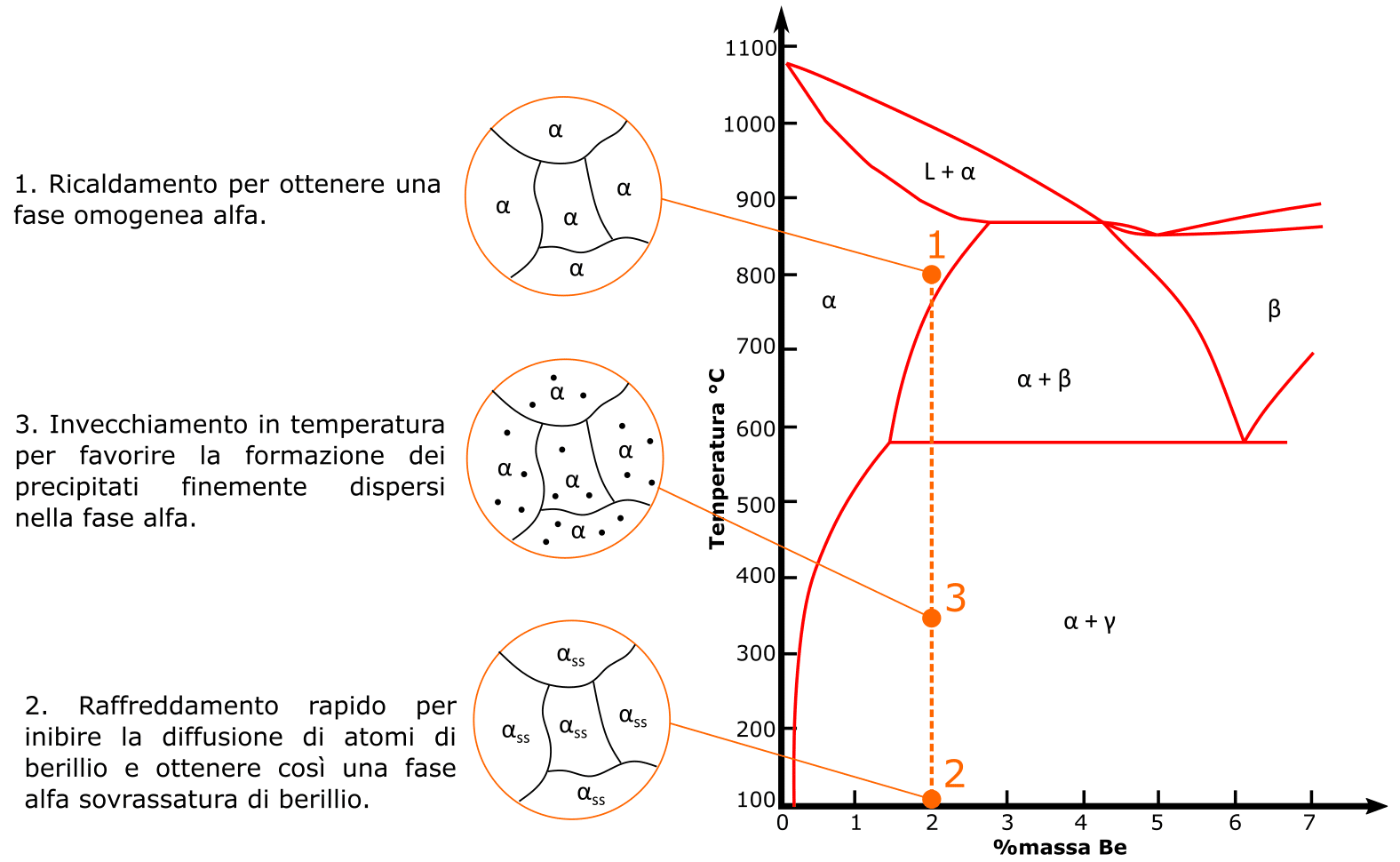 Schematizzazione di un possibile processo di indurimento per precipitazione in una lega rame-berillio. Le illustrazioni nei cerchi rappresentano una schematizzazione della microstruttura del materiale, quella che vedreste con un microscopio per intenderci