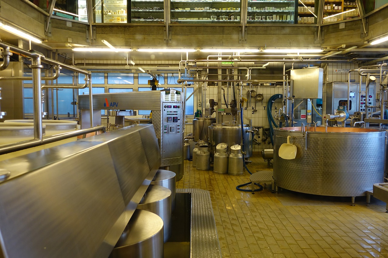 biocosì, bioplastiche, residui, rifiuti, scarti, industria, economia circolare, recupero, risorse, ambiente, inquinamento, mare, plastica, enea, innovazione, tecnologia, processo, Energy Close-up Engineering