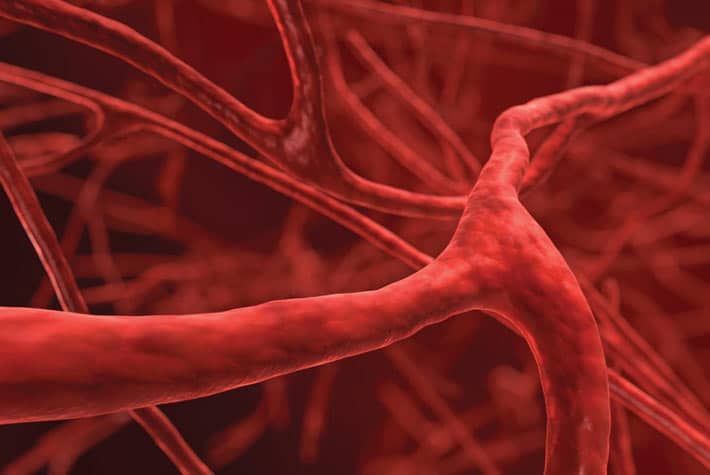 Le noci sono un ottimo mezzo naturale per la prevenzione di malattie cardiovascolari