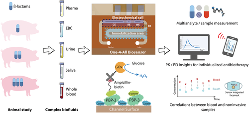 Utilizzo del biosensore microfluidico proposto con lo scenario previsto. Credits: Onlinelibrary