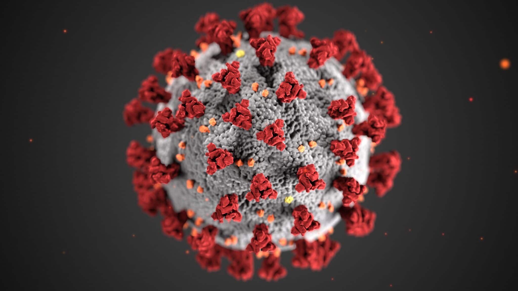 Il Pfizer è stato il primo vaccino disponibile in Italia contro Covid-19. L'immagine mostra la struttura del virus con le sue caratteristiche proteine Spike