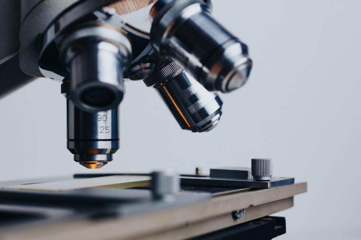 Importanza del DNA in criminologia: il corso del SIDI per lavorare con la genetica - 