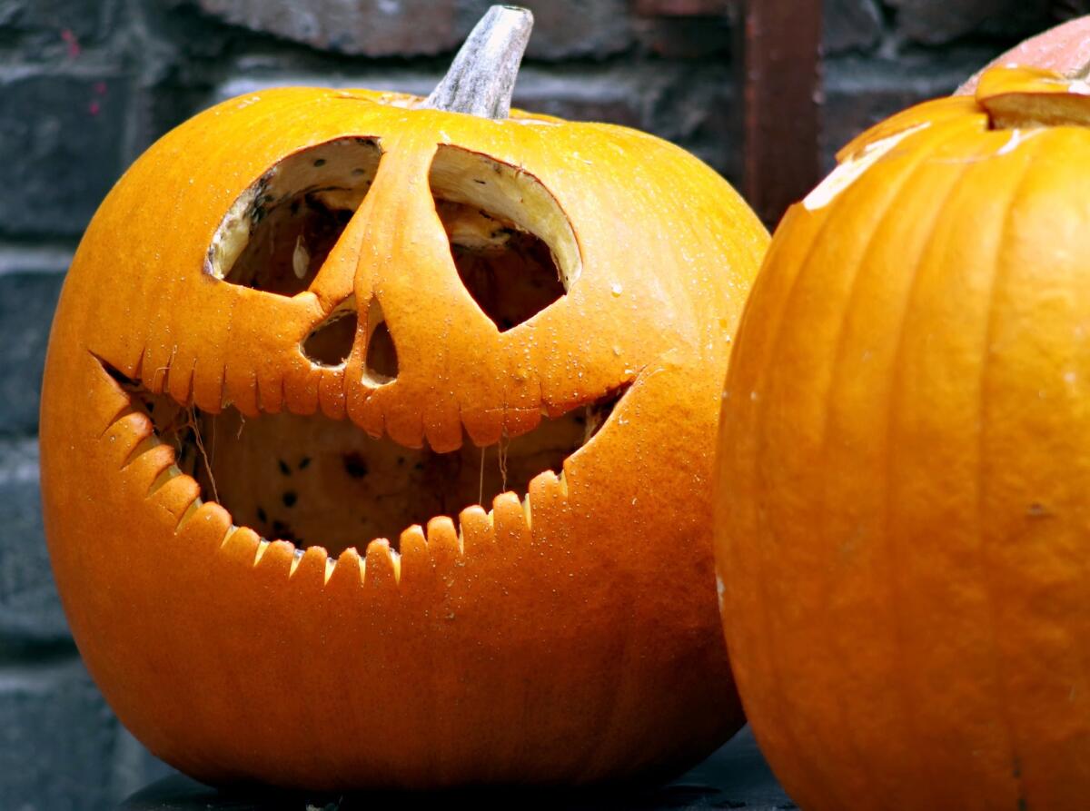 Dall'originale festa celtica alle zucche: perché si festeggia Halloween? - 