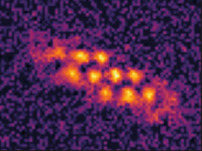 Supersolido in 2D creato da un gas ultrafreddo. I colori rappresentano la densità, dal nero (bassa) al giallo (alta). Credits: Matthew A. Norcia et al., Nature, 2021