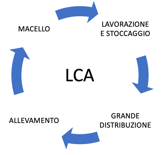 Carne, ambiente, LCA, legumi, FAO, Energy Close-Up Engineering