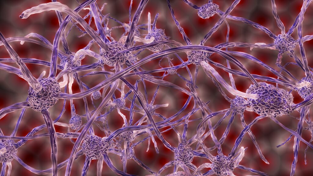 Nuove frontiere per la ricerca: arriva il robot che apprende da neuroni veri