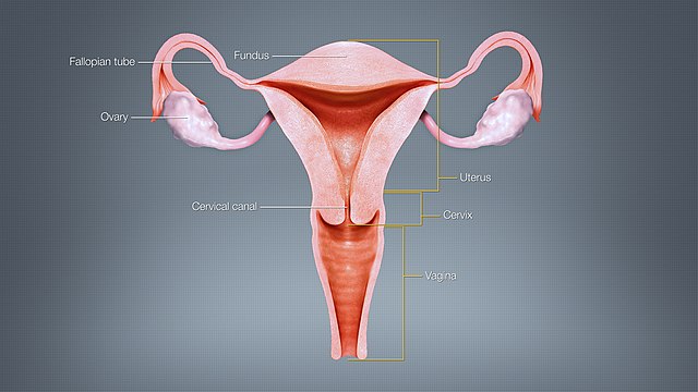 Nanosensori per la diagnosi precoce del cancro ovarico