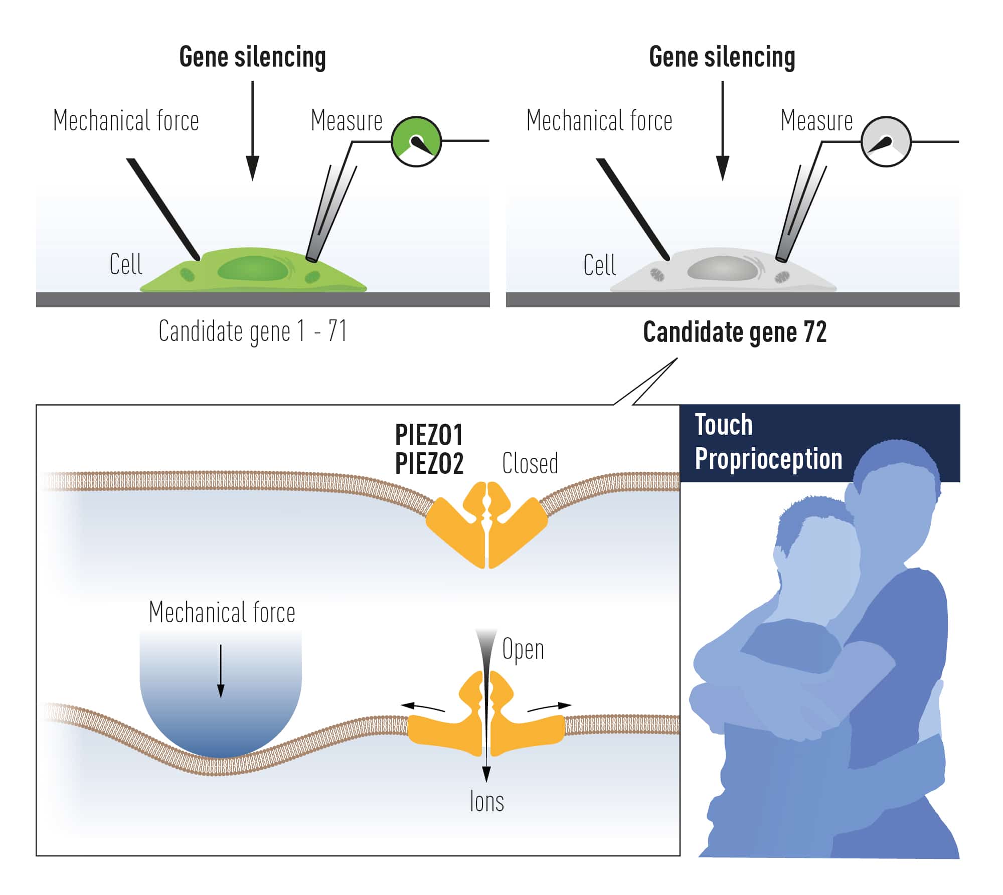 Credits to: nobelprize.org