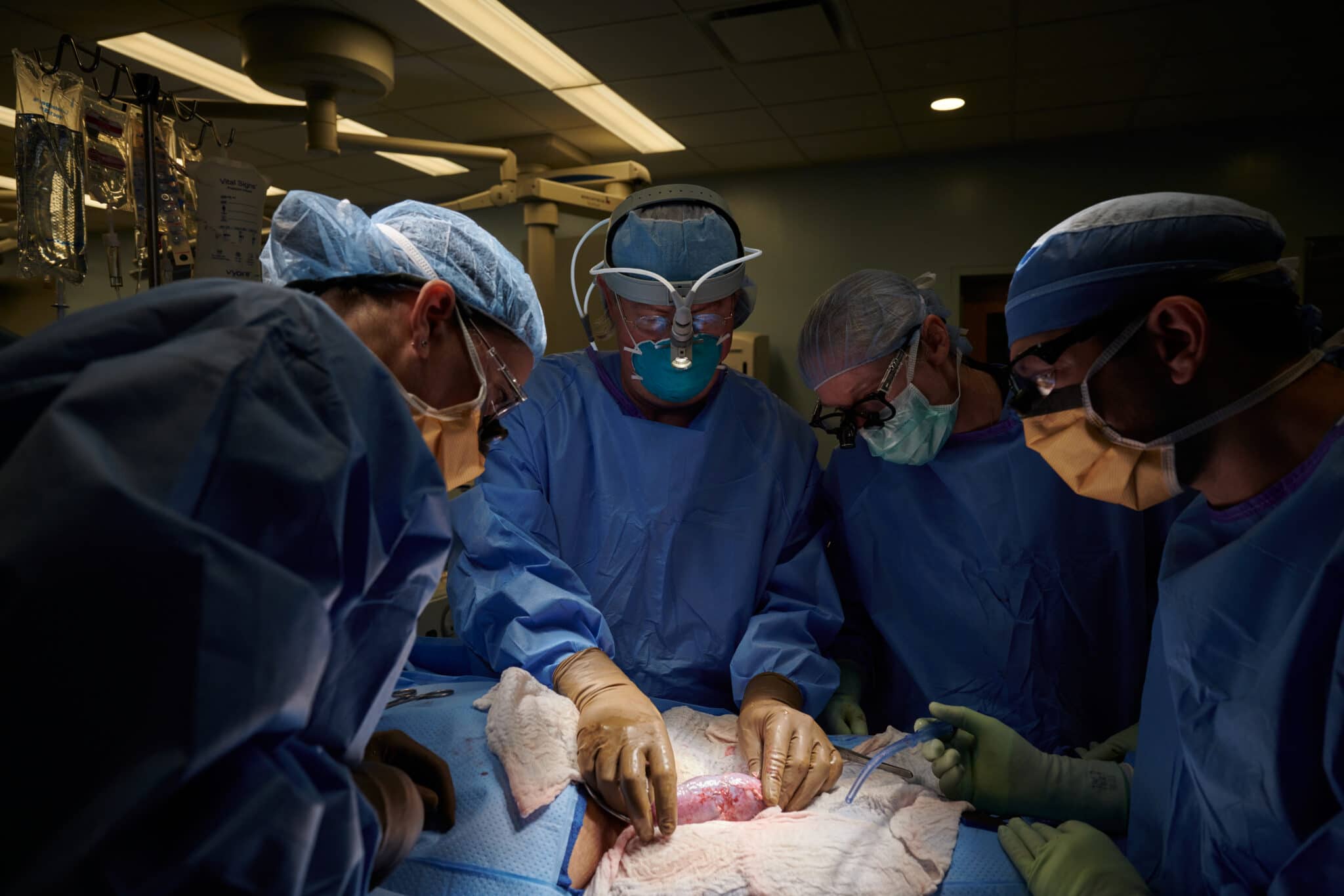 Credits: Joe Carrotta per NYU Langone Health