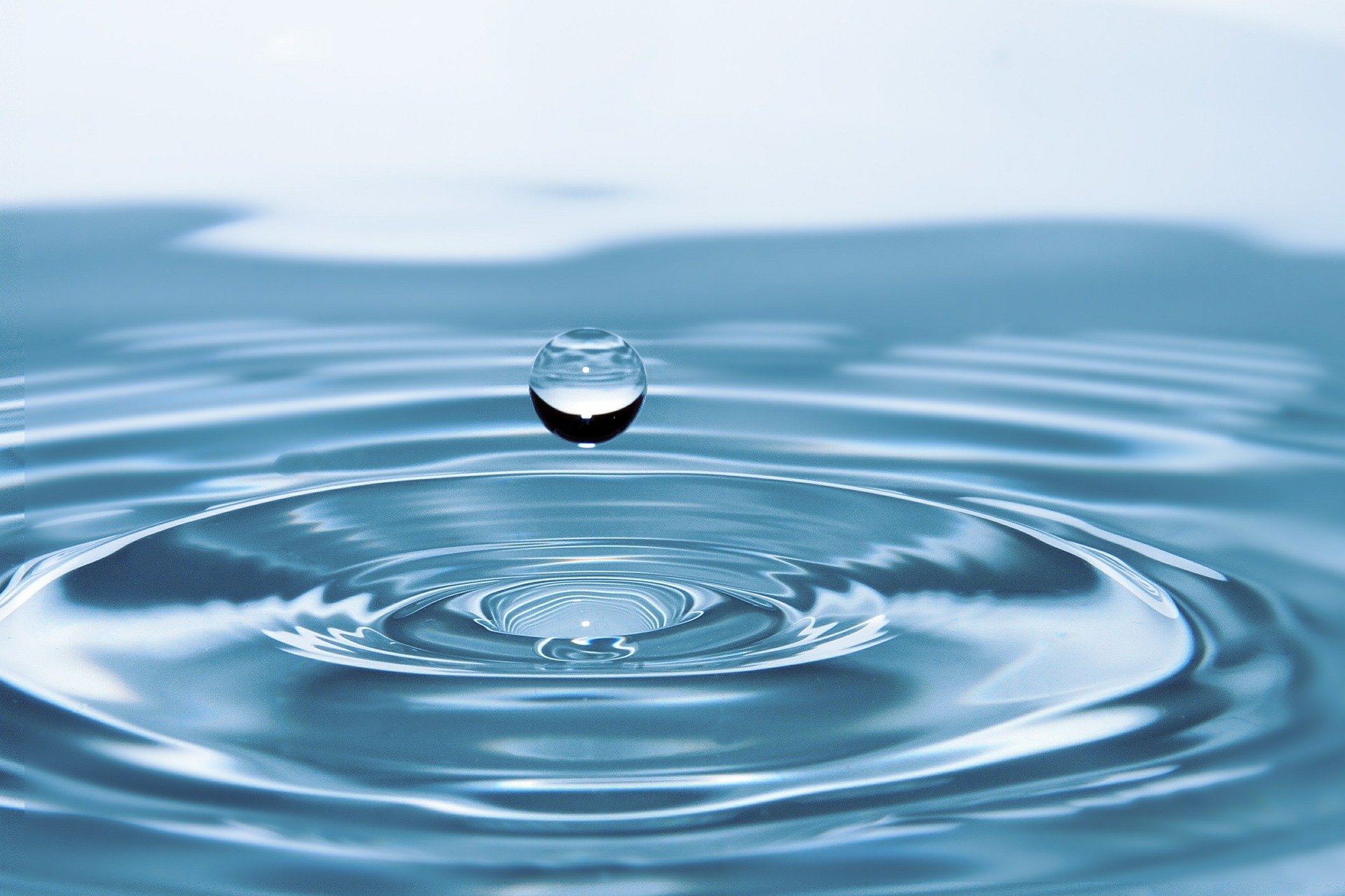 Acqua, alimentazione, allergie