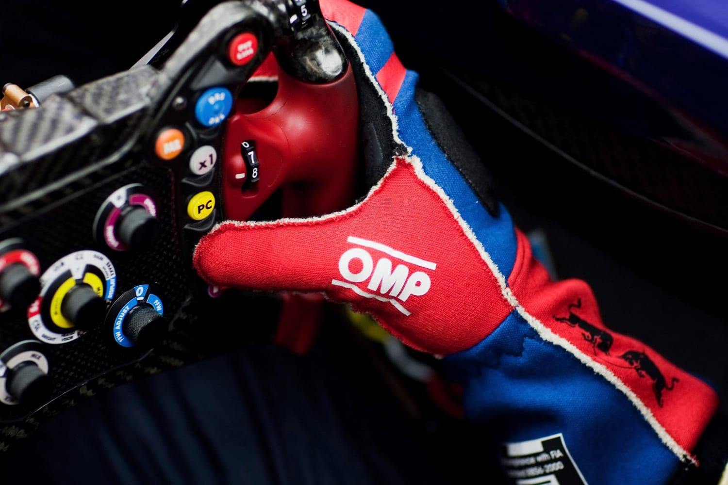I guanti utilizzati in Formula 1 nel 2013