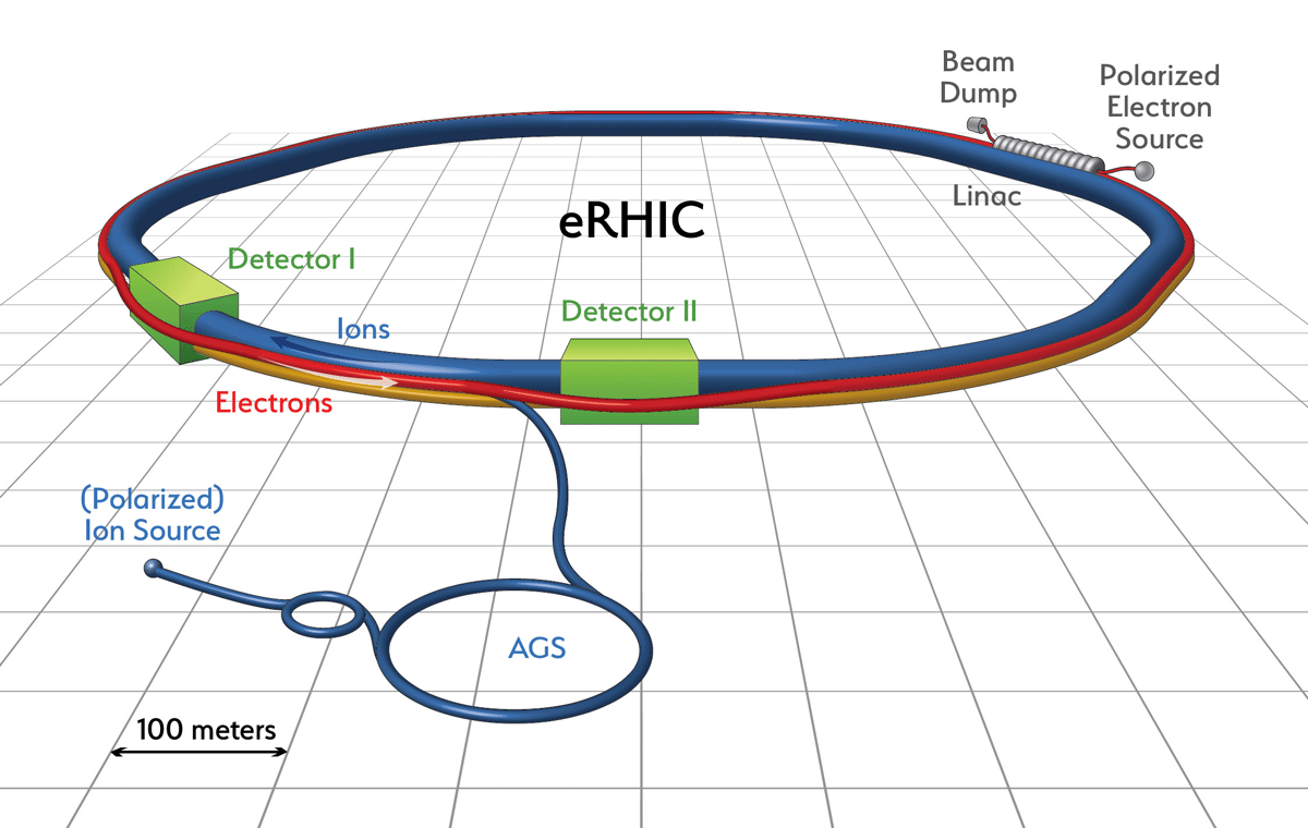 Rappresentazione schematica dell' Electron-ion collider