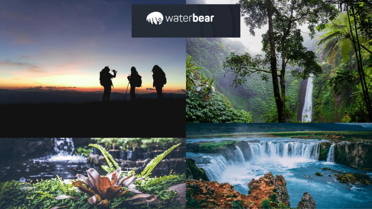WaterBear: la piattaforma streaming gratuita che parla dell’ambiente - 