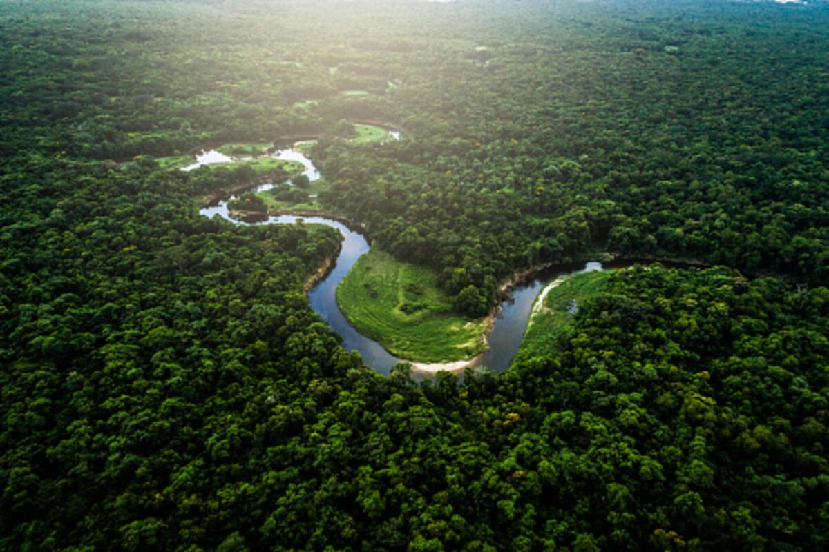 Deforestazione: il record dell’Amazzonia in Brasile - Pixabay