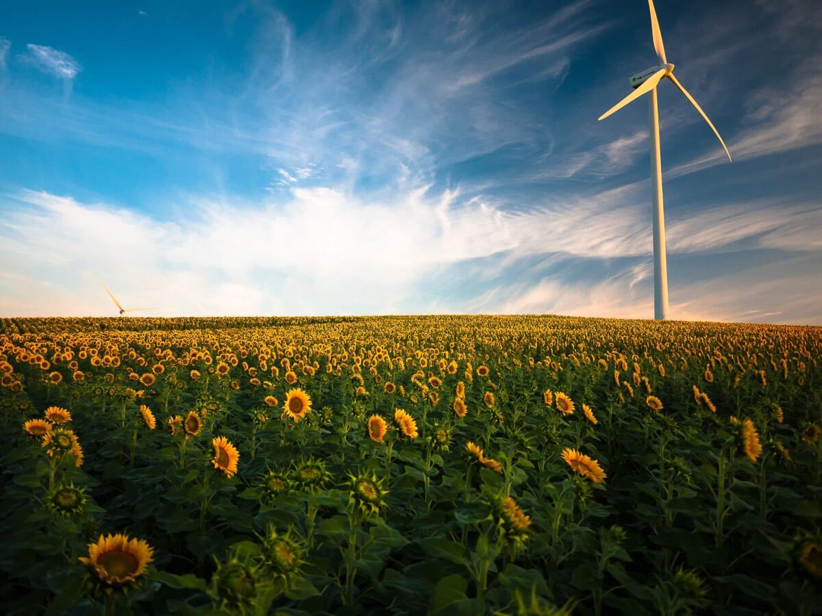 Sostenibilità: la tutela dell'ambiente passa per le risorse energetiche rinnovabili - pixabay.com