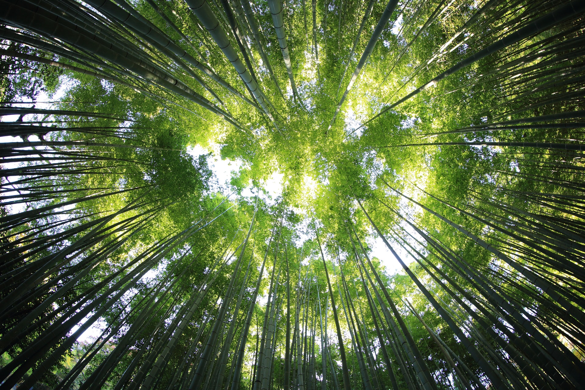 fonte: unsplash.com