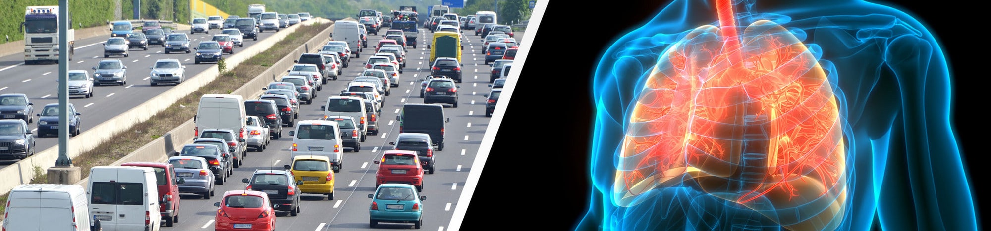 Il particolato comporta malattie polmonari e altro ancora