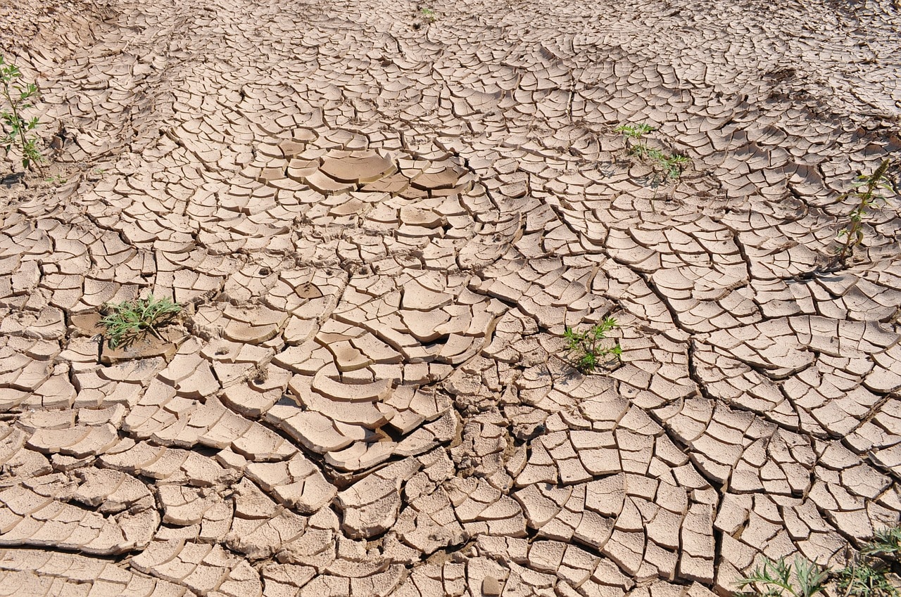 profughi ambientali, cambiamenti climatici, gas serra, riscaldamento globale, crisi, clima, temperatura, innalzamento, scioglimento, ghiacciai, siccità, desertificazione, alluvioni, inondazioni, migrazioni, ambiente, città, campagne, misure, mondo, Energy