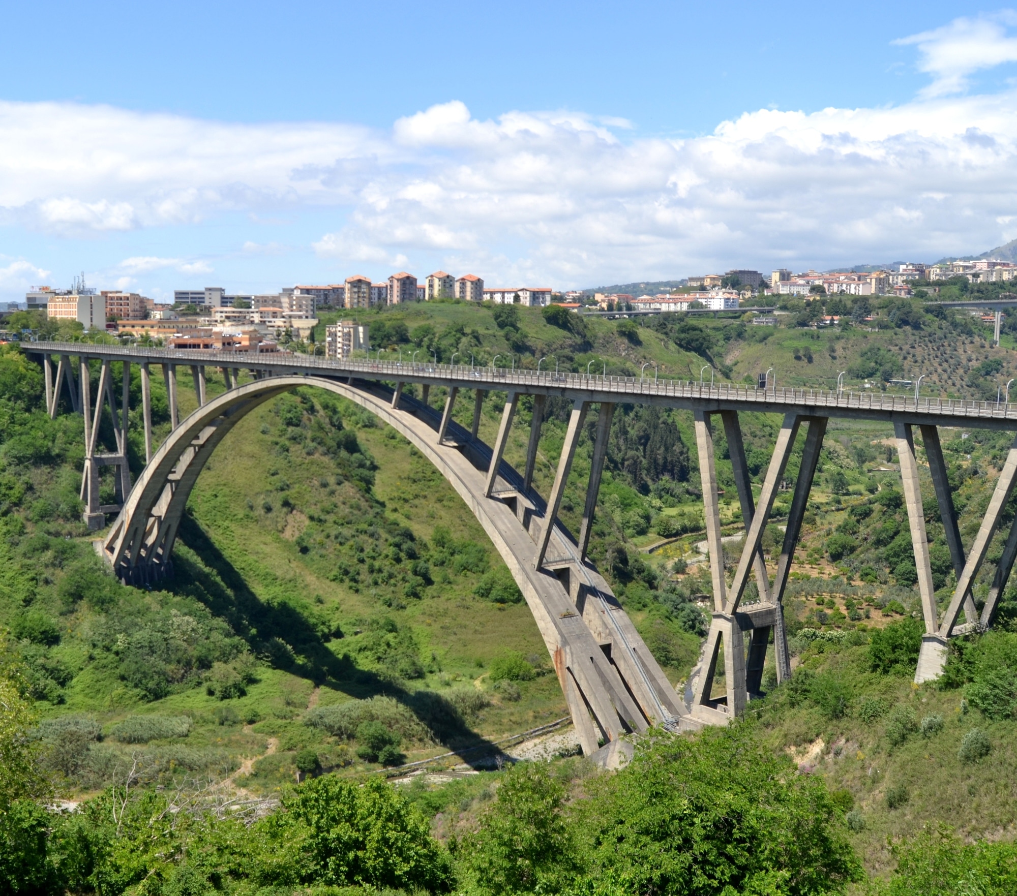 Ponte Bisantis o Ponte Morandi, chiamato anche Viadotto sulla Fiumarella. Fonte wikipedia.org