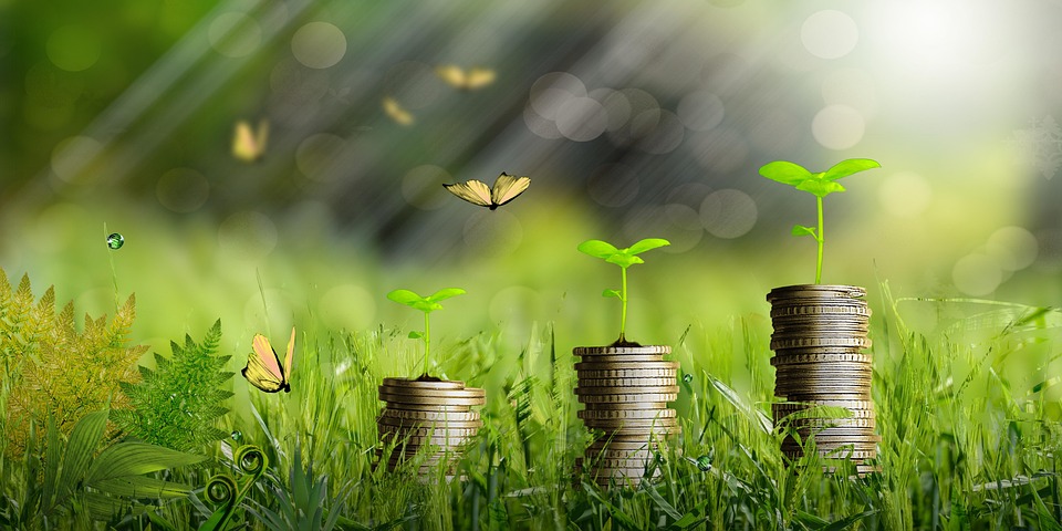 Soldi, Impianti, Crescita, Monete, Finanza, Moneta. Cop26