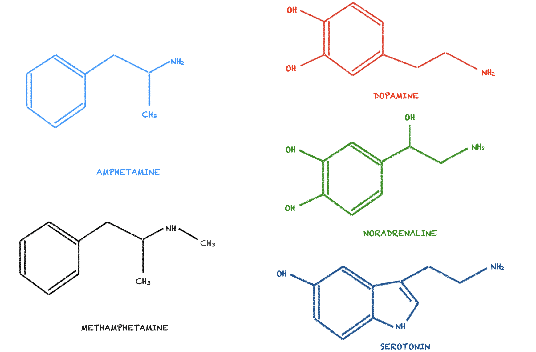 Struttura chimica dell'anfetamina, della metanfetamina e dei neurotrasmettitori endogeni.