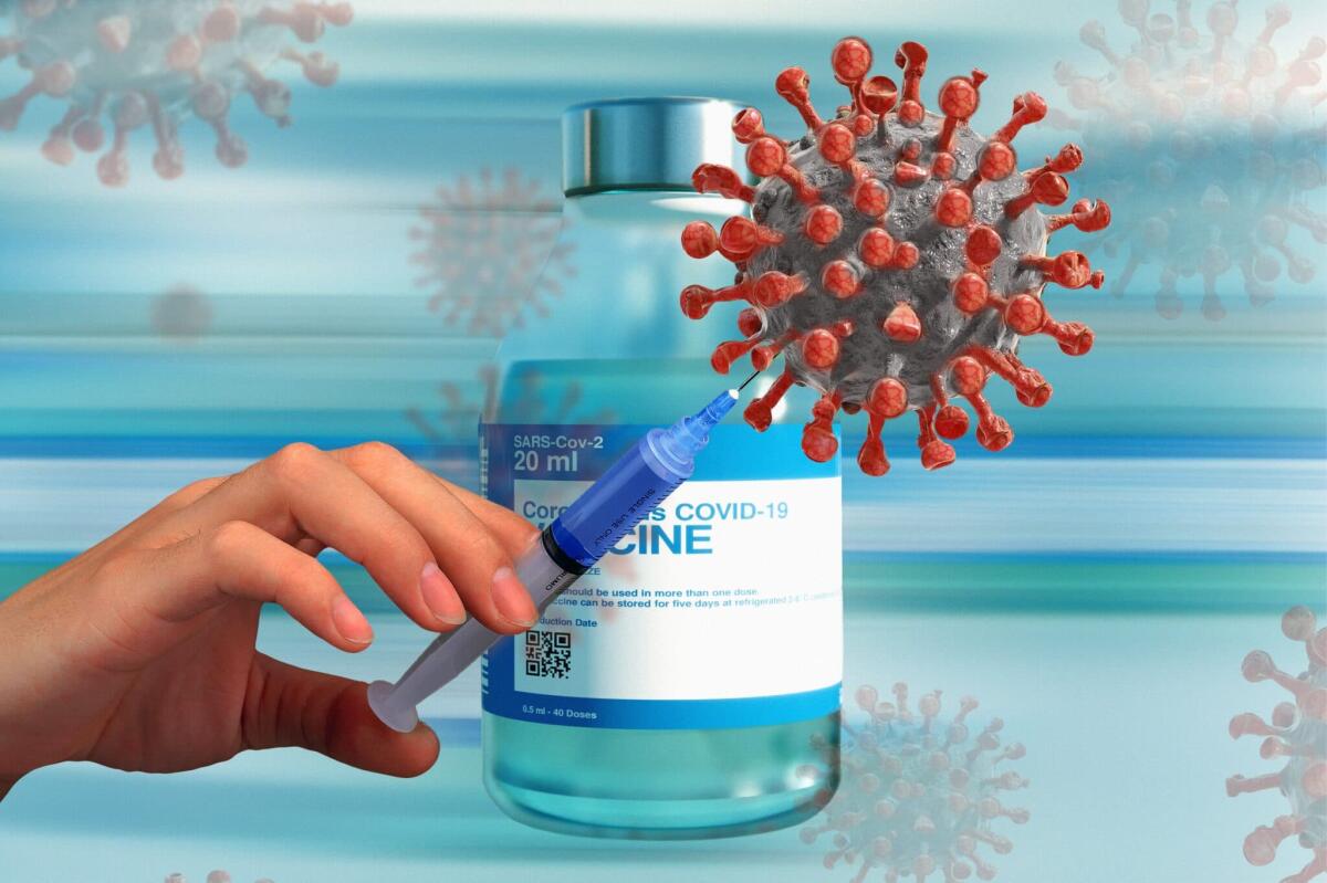 Nuvaxovid (Novavax): il nuovo vaccino proteico approvato dall'Ema - 