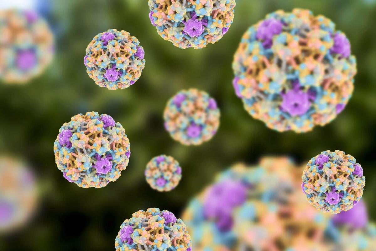Infezioni da Papilloma Virus (HPV): tra le più trasmesse per via sessuale - 