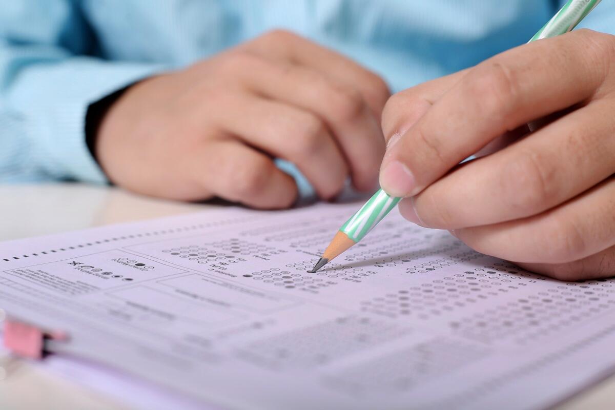 Nuovo esame di patente nautica: facile e veloce ma con qualche pecca - 