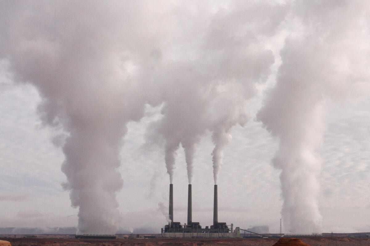 ELON MUSK WANTS YOU! per catturare la CO2 - fonte: pixabay.com