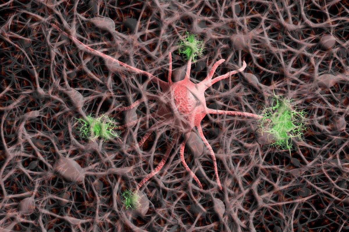 Come il Viagra potrebbe aiutare a combattere l’Alzheimer - 