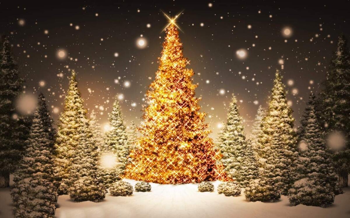 Il Natale e le sue conseguenze sul cervello - Credits: donnaclick.it