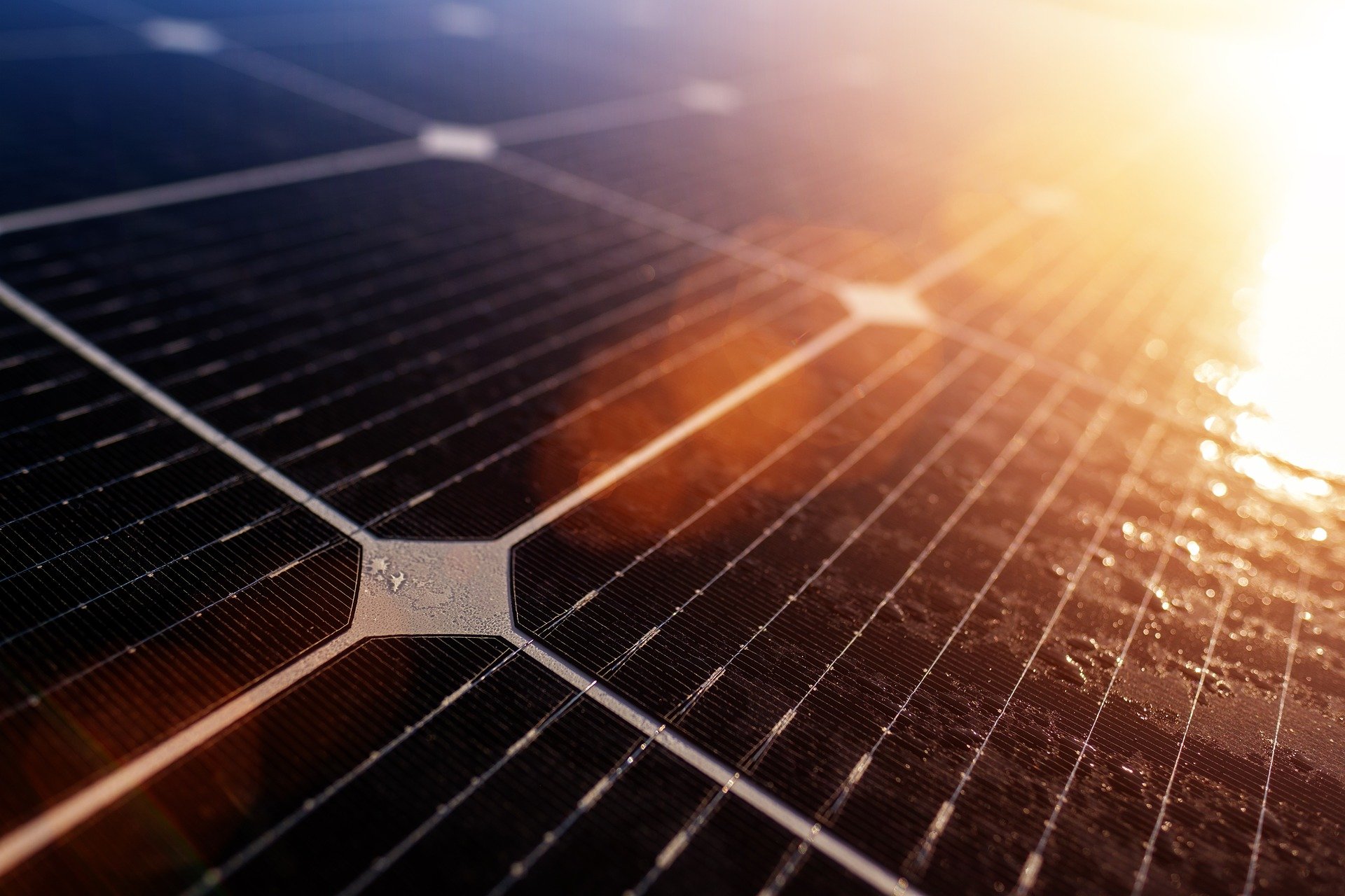 Celle in perovskite. Credit: Pixabay.com