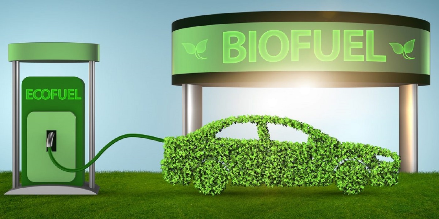 I biocarburanti si fanno sempre più strada tra le soluzioni per ridurre le emissioni