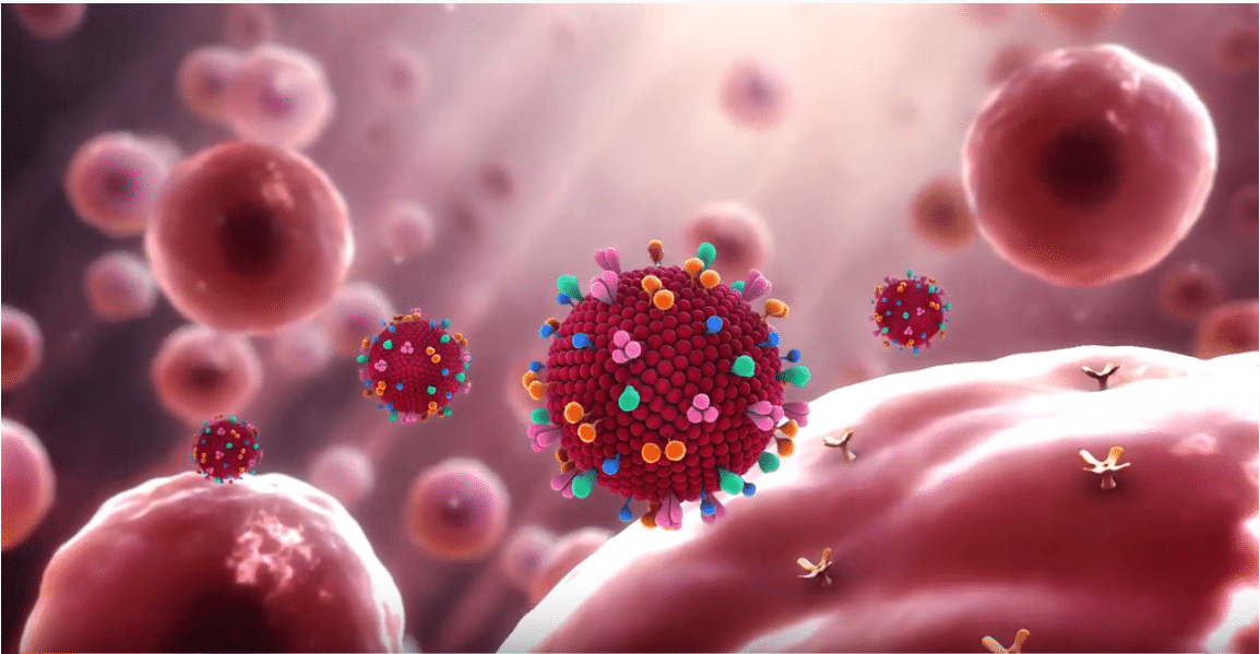 Infezioni da Papilloma Virus (HPV): tra le più trasmesse per via sessuale