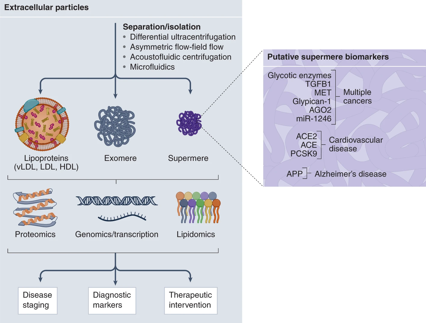 Biomarkers supermeri
