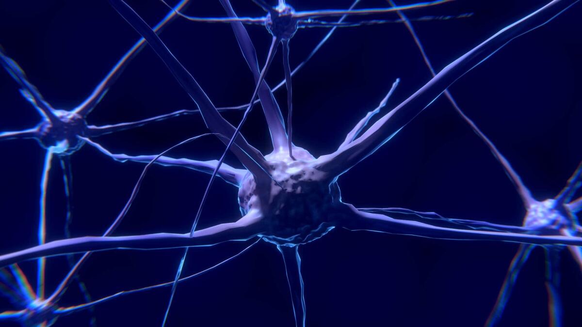 Come funziona il nostro cervello: la nascita dei tic - 