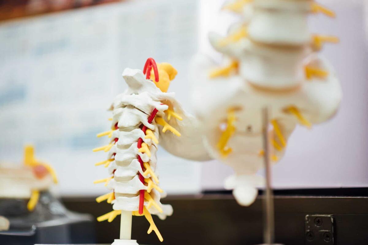 Trattamento della lesione spinale: il Giappone utilizza per primo le iPS - 