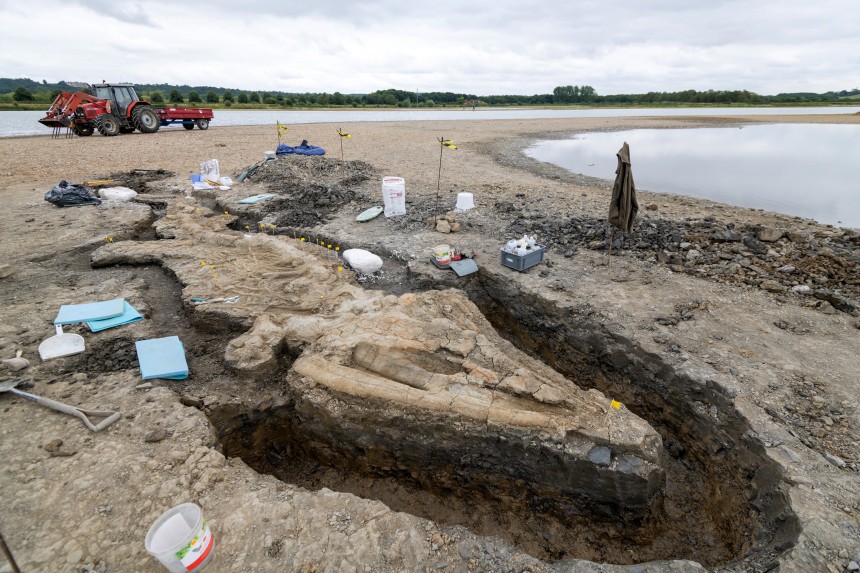 I resti del fossile di ittiosauro, che si stima abbia circa 180 milioni di anni. Credits: Matthew Power/Anglian Water