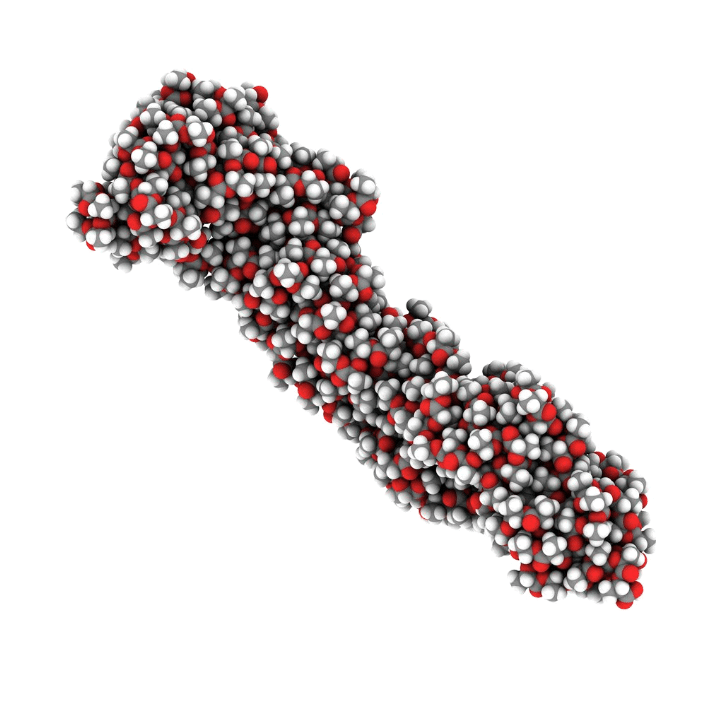 biopolimeri