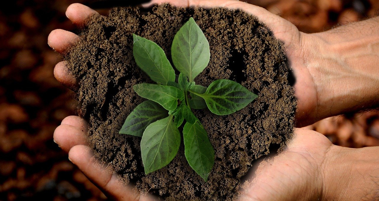 CUPPER Teas: il tè sostenibile che aiuta il pianeta e i suoi abitanti